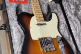 Fender American Professional Telecaster Ash 2 Tone Sunburst-2.jpg